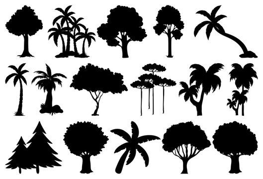 Palm Tree Silhouette Vector Pattern Set