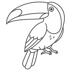 Obraz premium Toucan bird outline