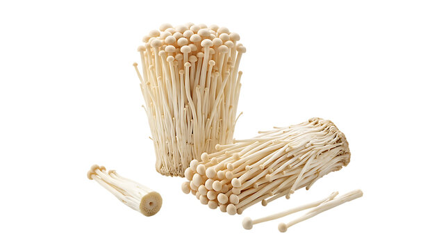 Fresh enoki mushroom isolated on transparent background