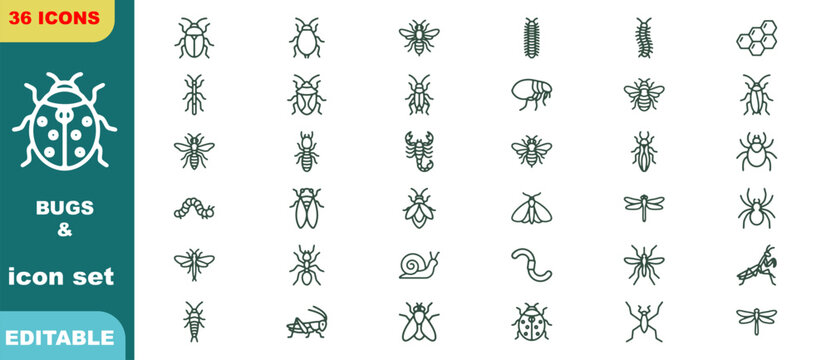 Set of thirty-six diverse bugs and insects illustration icons isolated on white background, Vector, illustration
