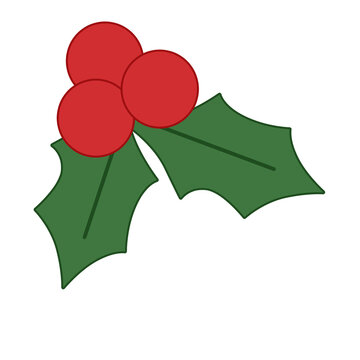 Christmas holly berries vector icon
