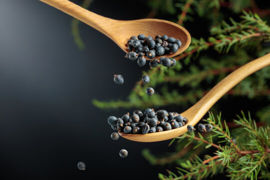 Juniper berries are sprinkled with a wooden spoon.