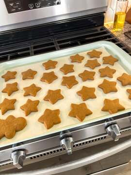 Tray of freshly baked gingerbread cookies cooling on stovetop