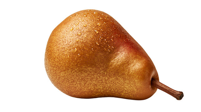 Ripe brown Bosc pear with water droplets on textured skin