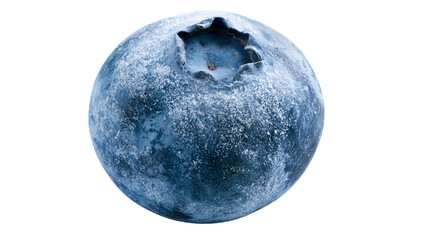 Single fresh ripe blueberry with natural waxy bloom coating © Clementine