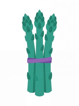 Fresh asparagus vegetables vektor illustration on white background