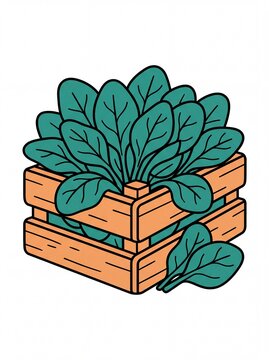 Fresh spinach vegetables in a wooden crate flat vektor illustration