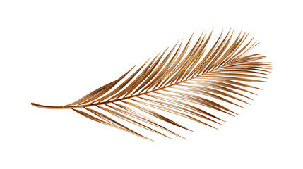 Metallic golden palm leaf frond with detailed texture © Lysander
