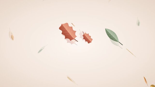 Falling autumn leaves animation with rotating oak and maple foliage, colorful autumn leaf falling motion graphic on clean light cream background for Thanksgiving and seasonal design