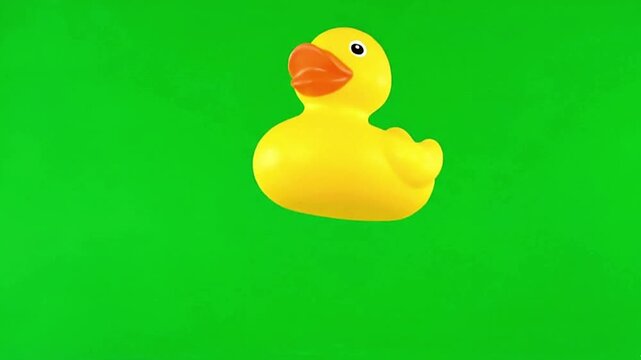 Yellow rubber duck toy floating and moving gently in studio video footage clip