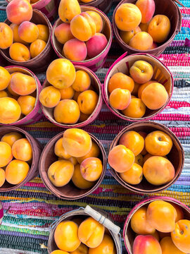 Fresh Apricots Displayed in Colorful Baskets