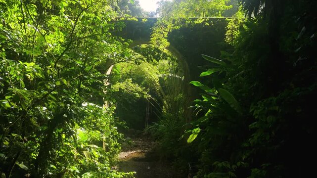 Slow aerial forward flight toward moss covered Pont d'Absalon stone arch bridge over rocky stream in dense tropical rainforest leading to Absalon cascade in Martinique