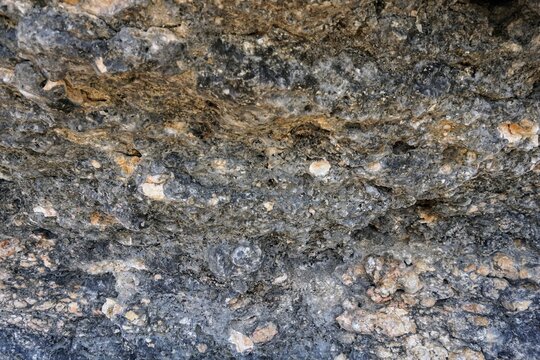 Close-up texture of a rough and porous black coral rock cliff surface, showcasing detailed natural geological structures.