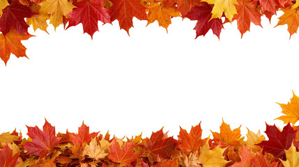 Vibrant red and orange maple leaves arranged in a top and bottom border frame