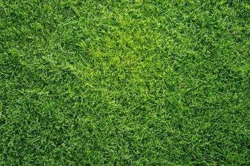 Fototapeta premium The Grass Closeup Emerald Verdant Carpet of Lush Textured Turf
