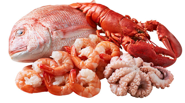 Fresh raw red snapper fish with whole lobster, peeled shrimp and octopus tentacles