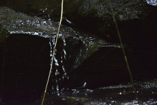 A small stream of natural water trickling down dark wet mossy rocks in a dense tropical rainforest stream surroundings