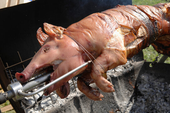 Suckling pig on grill, close up