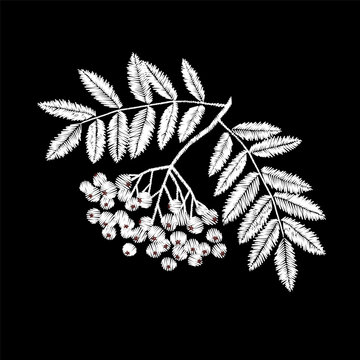 White rowan branch with berries embroidery design. Autumn needlework stitch style. Fashion clothing patches stickers print. Black background hand-stitched vector art.