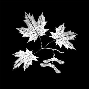 White maple leaves and seeds embroidery design. Fall foliage needlework stitch style. Fashion clothing patches stickers print. Black background hand-stitched vector art.
