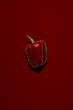 A fresh red bell pepper lies on a dark maroon background
