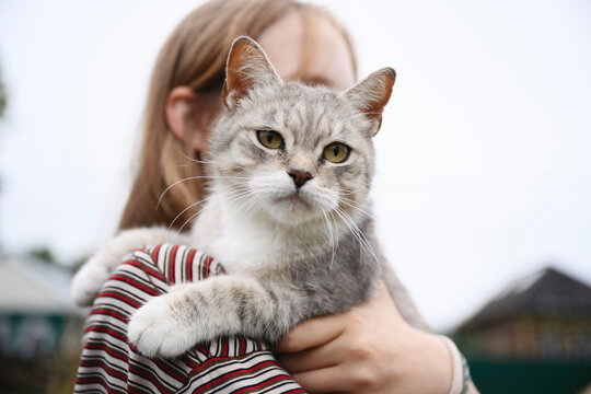 A young girl holds her cute grey cat outdoors during summer