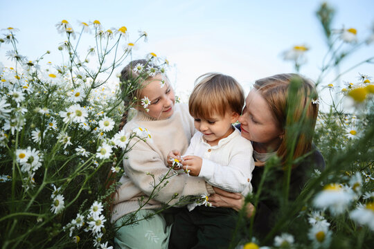 Mother and children enjoy summer day in chamomile flower field