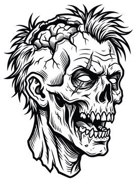 Zombie head with exposed brain. Decaying zombie head with exposed brain for horror projects