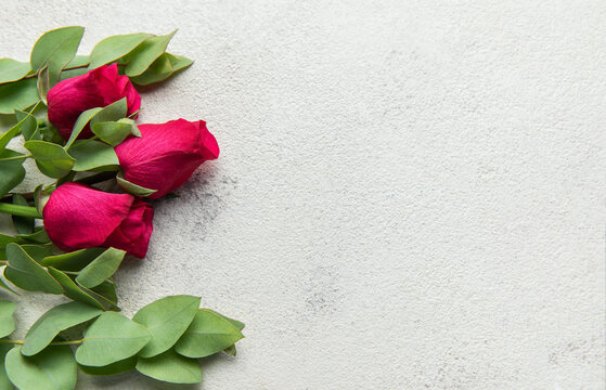 Red roses and eucalyptus leaves creating floral border
