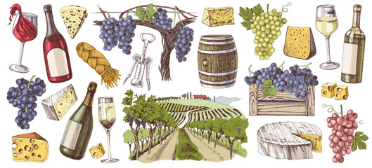Obraz premium Wine, cheese and vineyard illustrations set