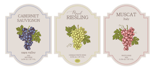 Obraz premium Wine labels with hand drawn grapes illustrations in vintage style