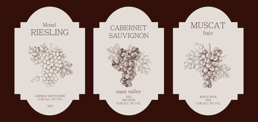 Obraz premium Wine labels with hand drawn grapes illustrations in vintage style