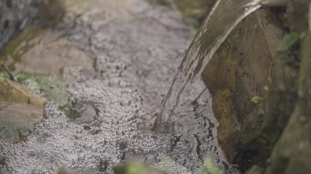 Clear Water Flowing Over Wet Rocks and Moss in a Forest Stream