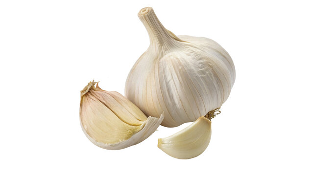Whole raw white garlic bulb with separate cloves vegetable isolated on transparent background png