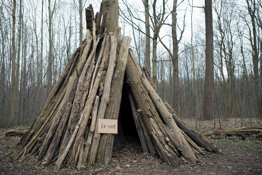 Hut in the woods for rent