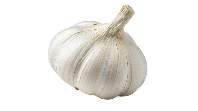 Whole raw unpeeled white garlic bulb fresh organic vegetable isolated on transparent background png