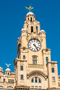 The historic Royal Liver Building clock tower stands in Liverpool