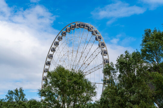 A huge ferris wheel stands behind green trees in Liverpool