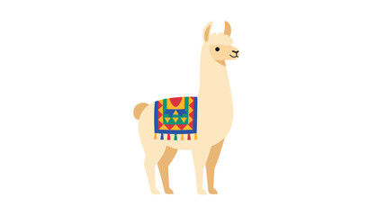Obraz premium Fluffy white llama or alpaca wearing a traditional colorful patterned saddle isolated on a plain white background.
