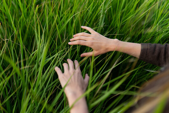 Woman touches green grass outdoors in summer