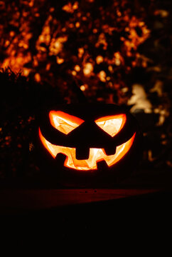 Halloween holiday decoration. Jack-o-lantern glowing Pumpkin head with scary smiling face among autumn fall leaves. Happy scary pumpkin close-up.