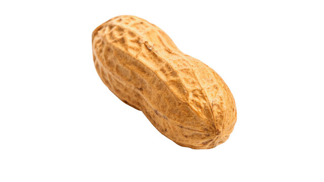 Single whole organic peanut nut in shell rich texture isolated on transparent background png