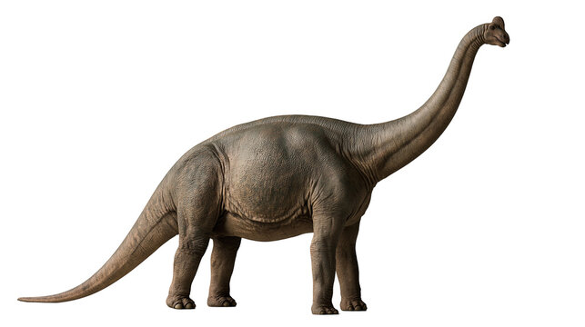 Brachiosaurus dinosaur with long neck and textured brown skin