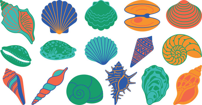 Assorted ocean shell specimens including triton pecten cypraea volute spirula turret shell quahog cockle sea snail