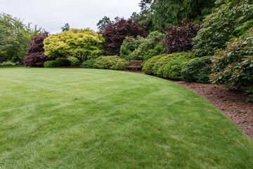 Obraz premium The Tranquil Garden Lawn with Curved Border, Shrubs, and a Wooden Bench