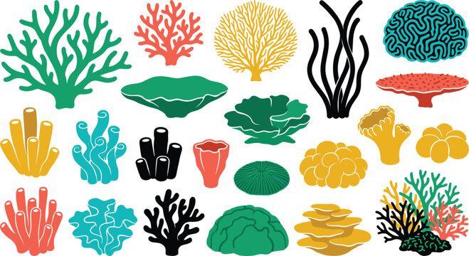 Benthic marine organisms set including elkhorn coral sea rod vase sponge macroalgae scroll coral dome polyp