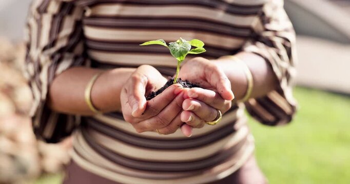 Sustainable, plant or hands outdoor with development, ethics or conservation in esg accountability. Cultivation, leaf or woman with growth, environmental awareness or responsibility in green practice