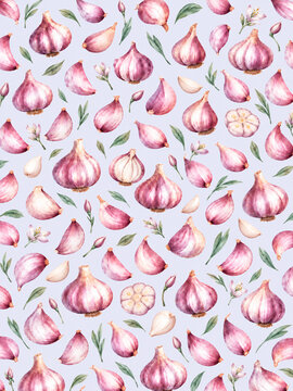 Watercolor Purple Garlic Bulbs and Cloves Botanical Pattern