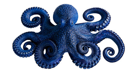 Vibrant deep blue octopus with textured skin and detailed suckers on tentacles © Andrei