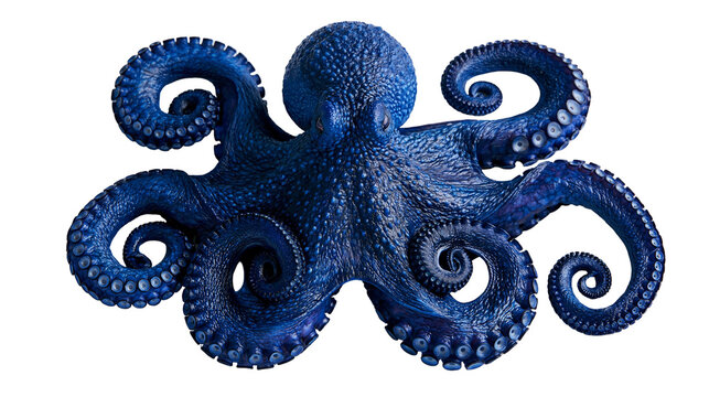 Vibrant deep blue octopus with textured skin and detailed suckers on tentacles